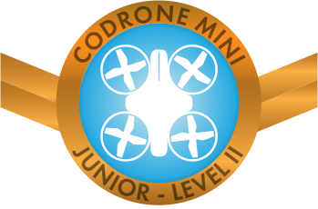 CoDrone Mini Junior Level II badge