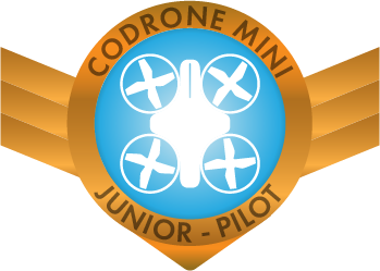 CoDrone Mini Junior Pilot badge